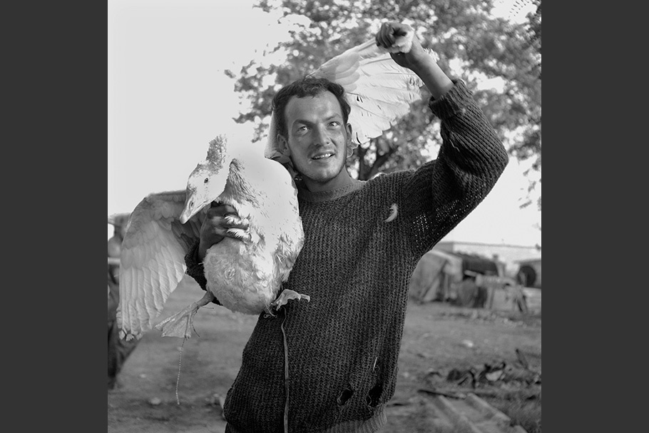 A man holding a goose.