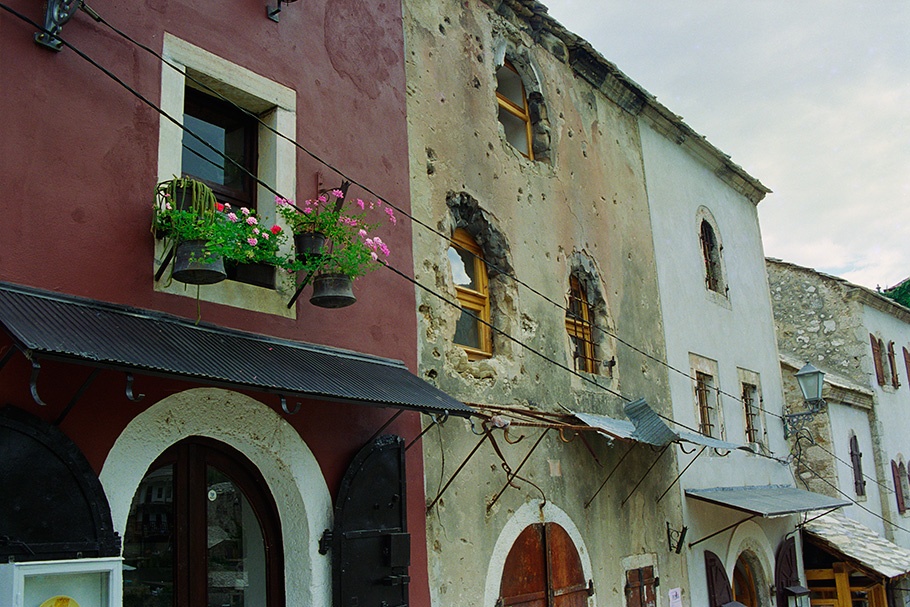 The façades of homes with flowers in the windows.