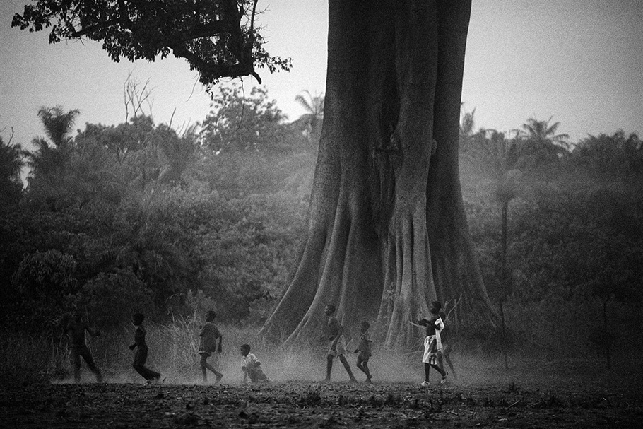 Children play in front of a large tree.