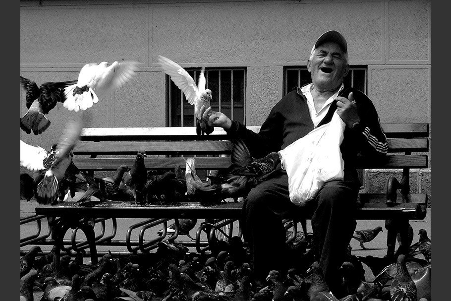 Man on bench with pigeons.
