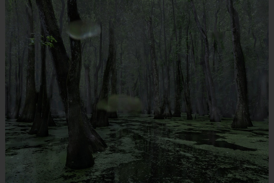 A swamp at night