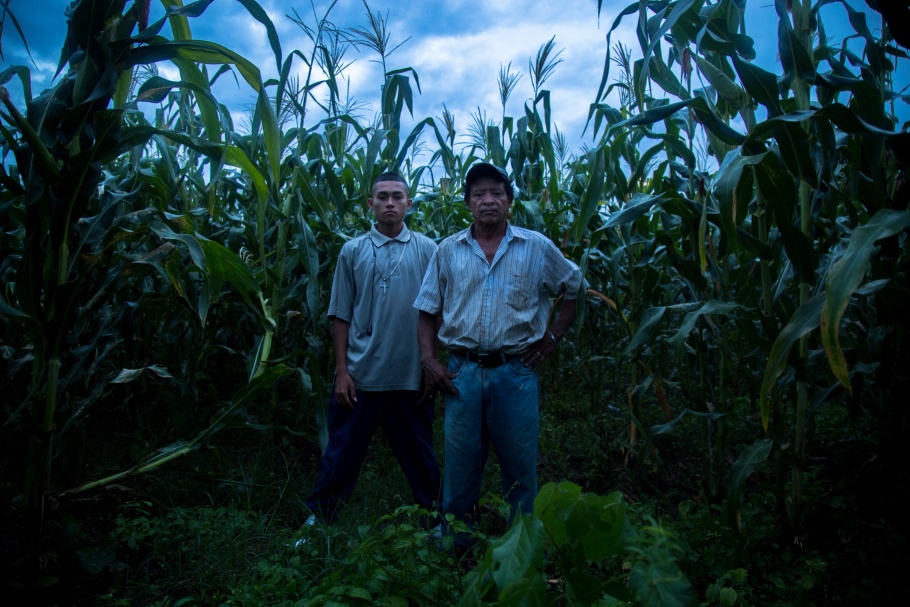 A man and a boy standing in a corn field